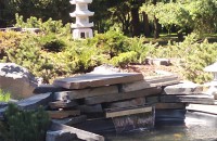 поздравляем коллег национального парка "Плещеево озеро" с открытием экспозиции "Японский сад" - фото - 11