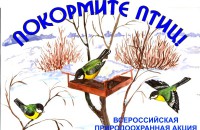 всероссийская акция «Покормите птиц» - фото - 1