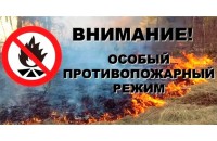 в Смоленском Поозерье введён особый противопожарный режим - фото - 2