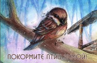 всероссийская акция «Покормите птиц!» стартует в национальном парке «Смоленское Поозерье» - фото - 2
