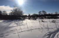 сотрудники национального парка «Смоленское Поозерье» провели второе прохождение зимних учетных маршрутов - фото - 11