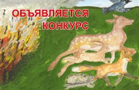 национальный парк «Смоленское Поозерье» объявляет детский художественный конкурс плакатов «Защитим природу от пожаров!» - фото - 1