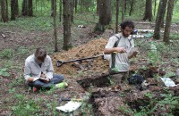 сотрудники ЦЭПЛ РАН продолжили поиск агрогенной метки в экосистемах сосновых боров и ельников нацпарка «Смоленское Поозерье» - фото - 11