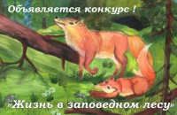 национальный парк «Смоленское Поозерье» объявляет детский художественный конкурс - фото - 1